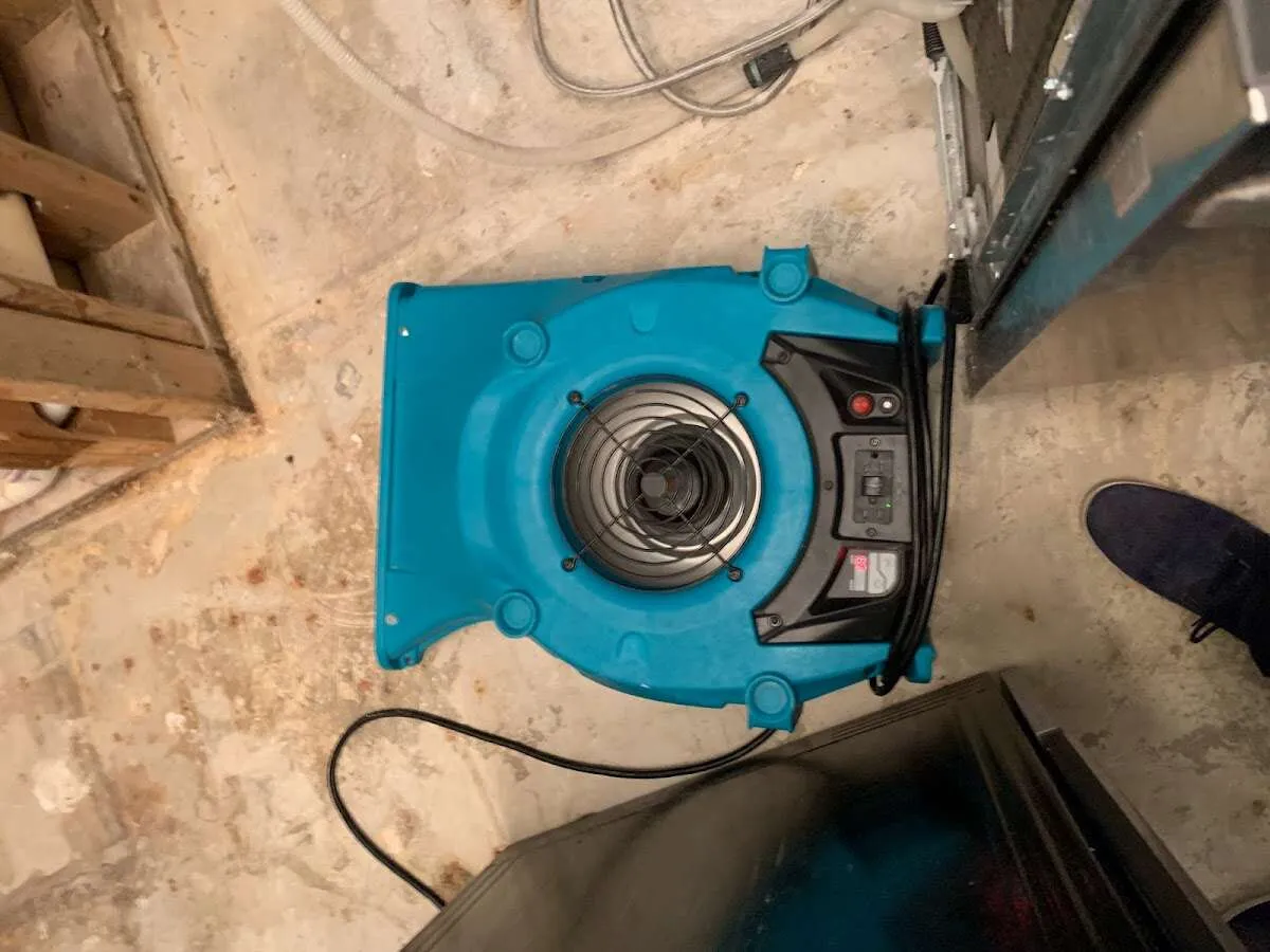 Air mover drying equipment for Mold Remediation & Removal in Trussville